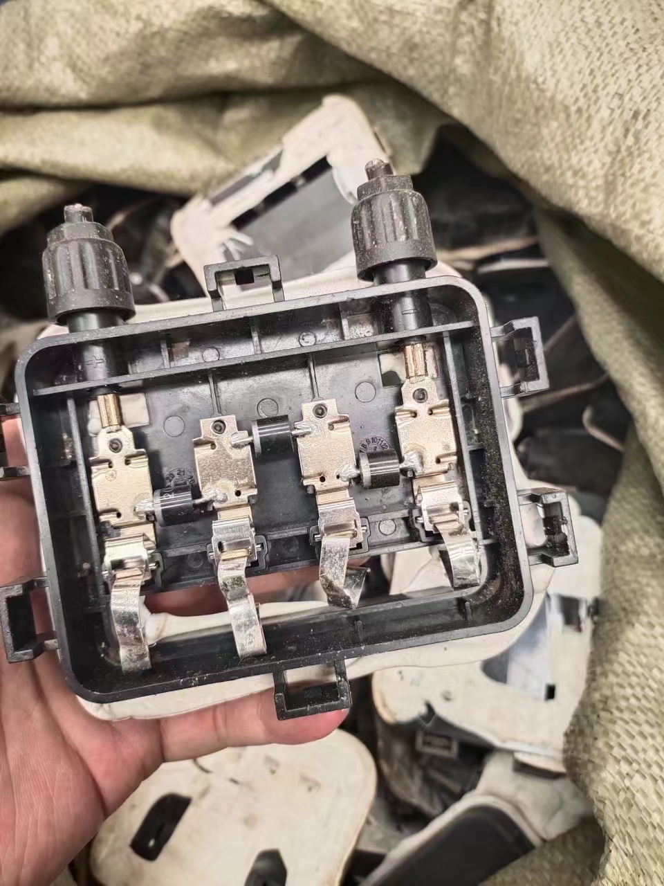 BG大游(中国)唯一官方网站