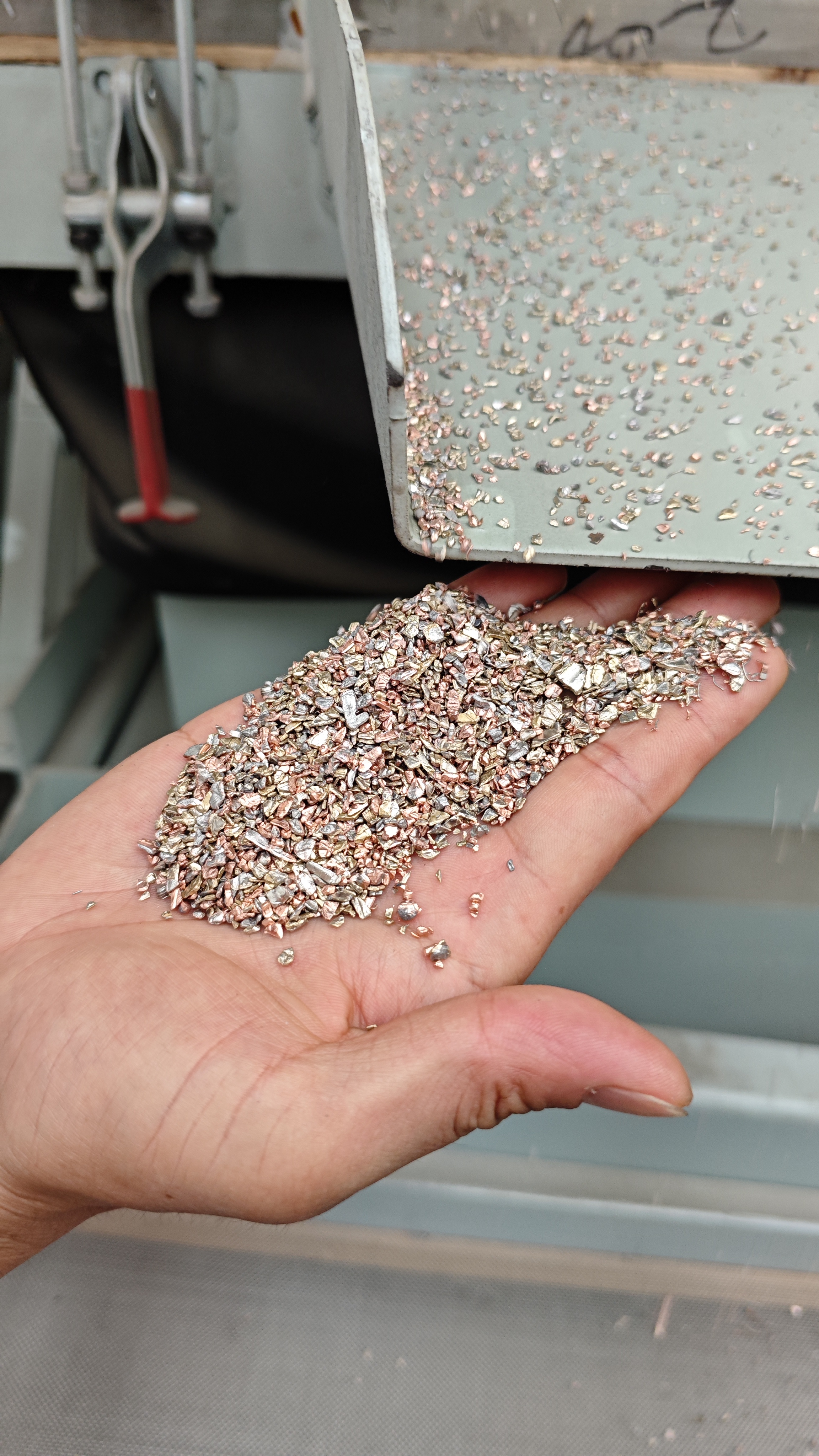 BG大游(中国)唯一官方网站